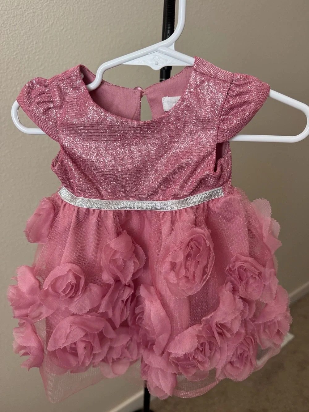 Baby Girl Pink Sparkle Tulle Rose Dress